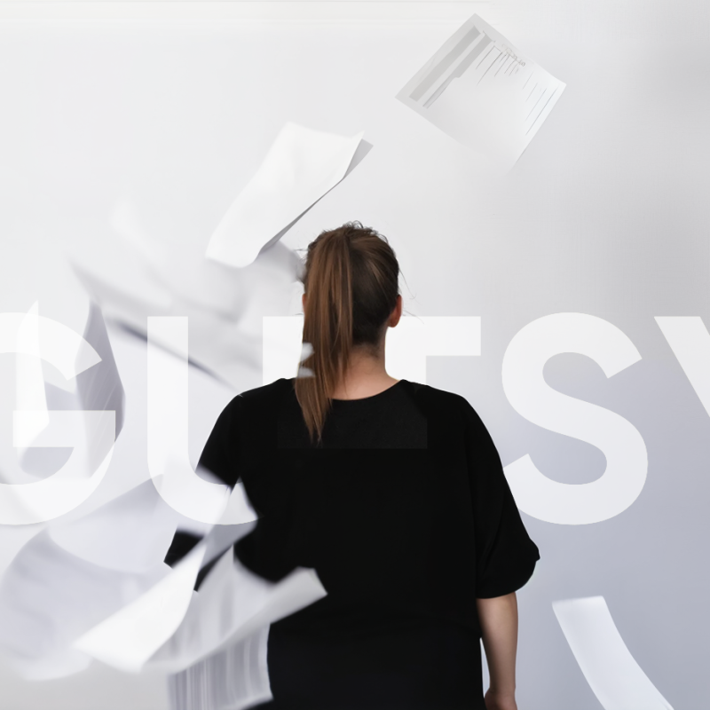 LauraAura Gutsy Book